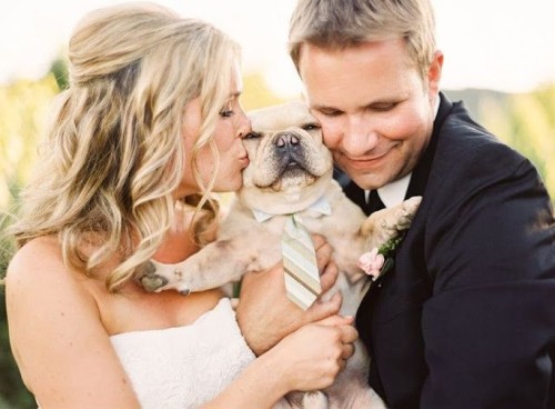 wedding dog sitter sposi baciano il loro cane