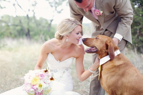 wedding dog sitter sposi col cane