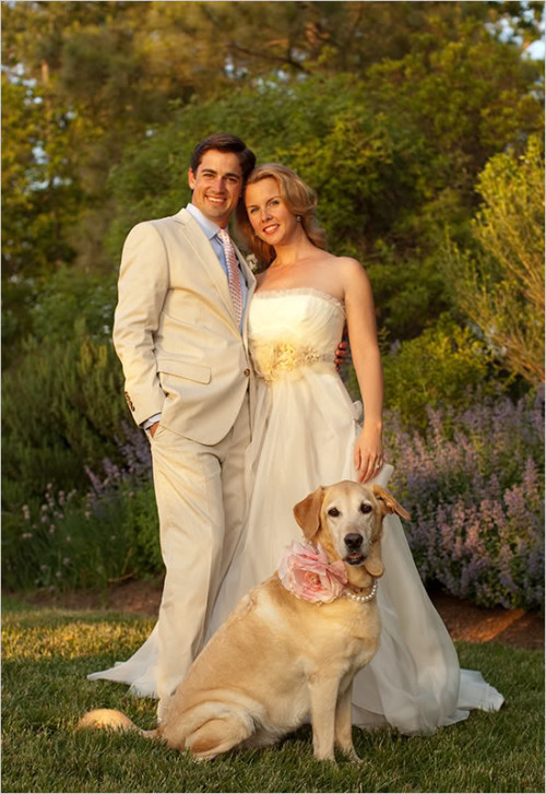 wedding dog sitter sposi con cane
