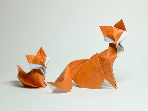 volpi-origami-Hoàng Tiến Quyết