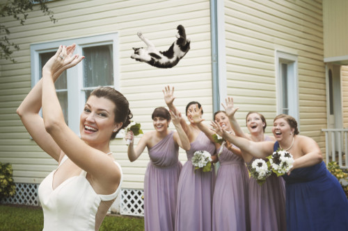 matrimonio-col-gatto-quando-le-nozze-si-fanno-graffianti-lancio del gatto2
