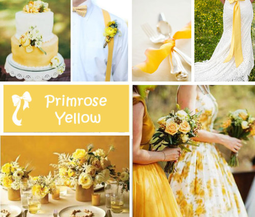 matrimonio-2017-i-dieci-colori-moda-primavera-estate-di-pantone-primrose-yellow