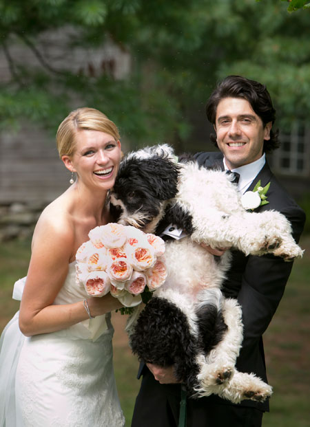 wedding dog sitter Sposi col cane in braccio
