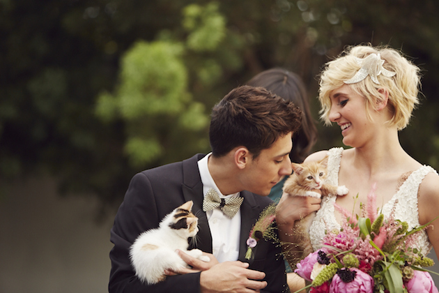 matrimonio-col-gatto-quando-le-nozze-si-fanno-graffianti-copertina