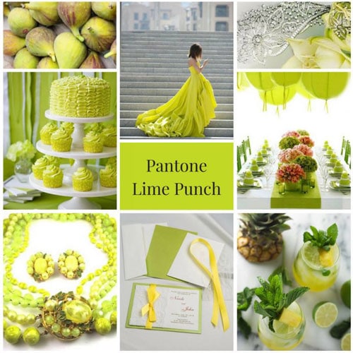 Lime-Punch_Antonia-Roskill_-768x768